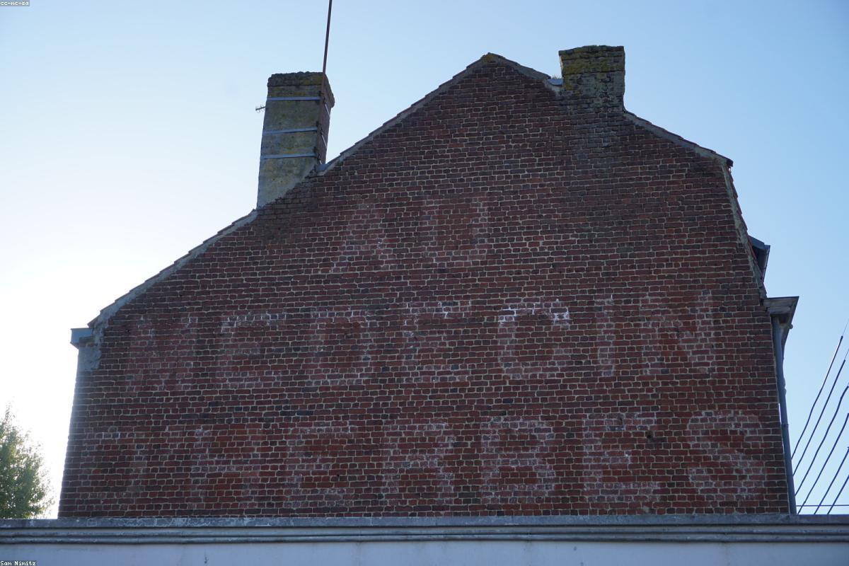 The Link Between Cardiovascular Health and Erections