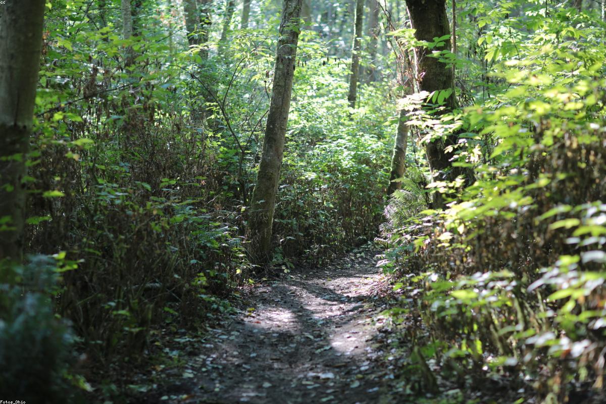 Best Exercises to Boost Male Performance (Science-Backed)