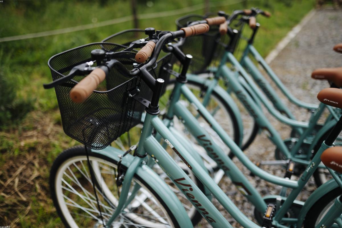 10 Daily Habits That Improve Male Performance Naturally