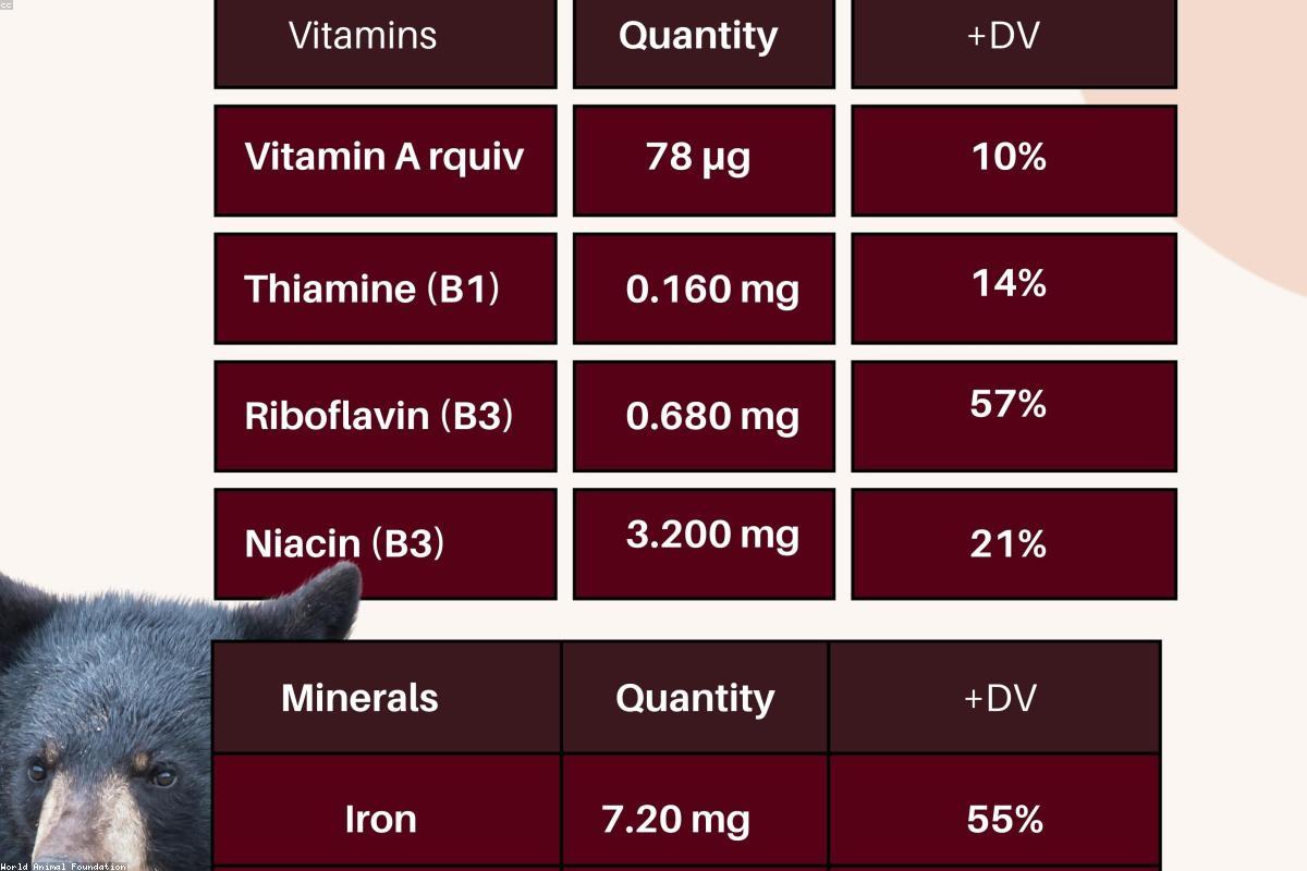 Best Natural Supplements for Male Performance: What the Research Says